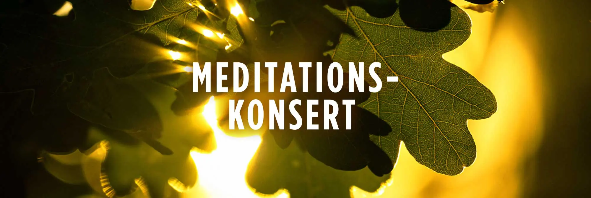 Konsert-meditationskonsert-wermland-opera