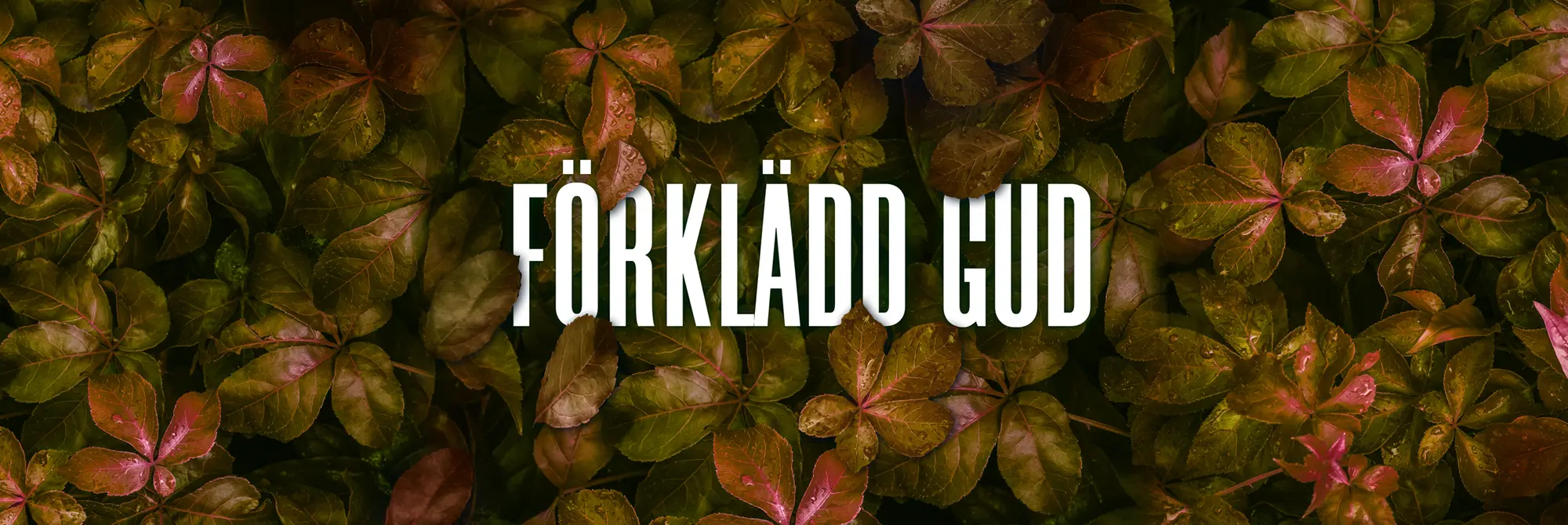 Konsert-förklädd-gud-kyrka-wermland-opera