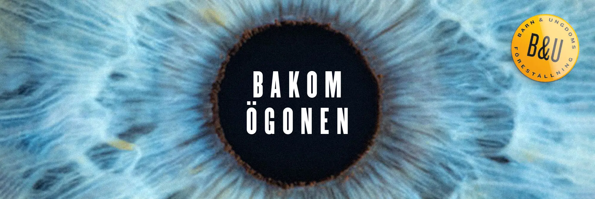 WO_BakomÖgonen_Toppbild_2000x670