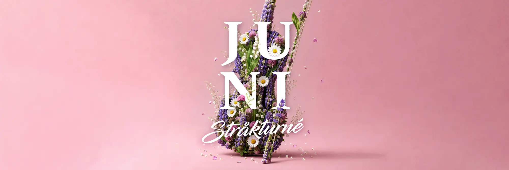 WO_JuniStråkTurné