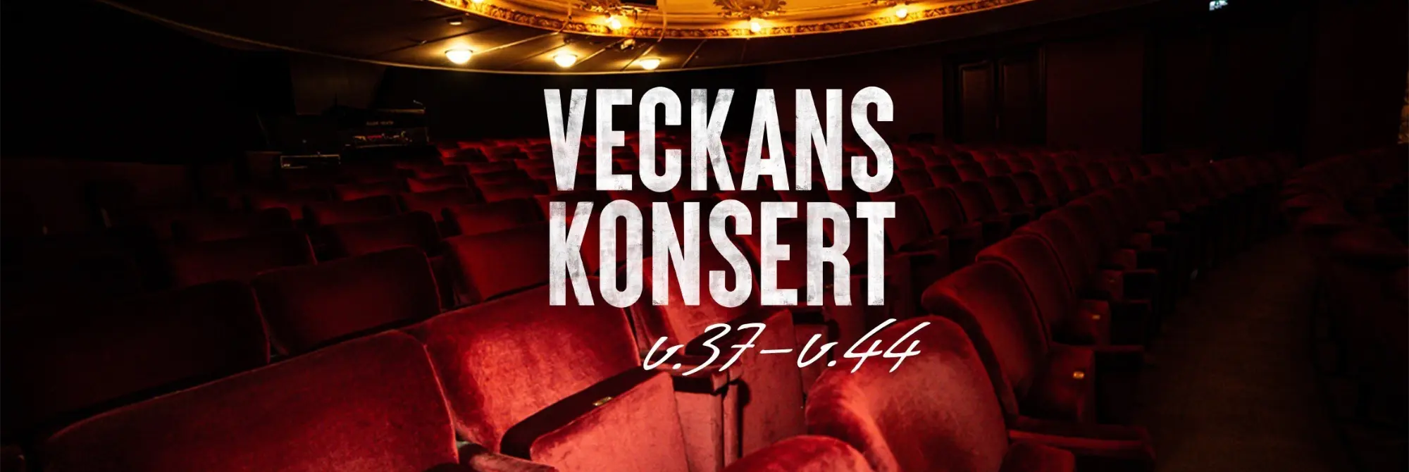 Veckans konsert